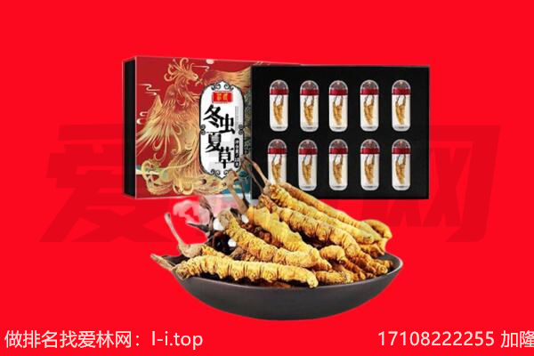 北碚区回收虫草.jpg